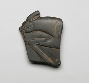 Fragment d